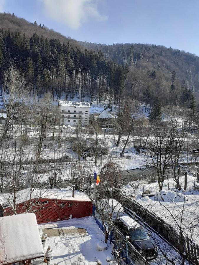 Casa Ryana Sinaia Hotel Екстериор снимка