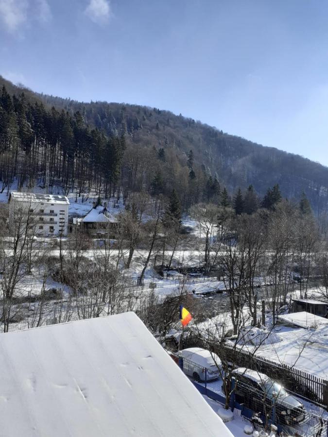 Casa Ryana Sinaia Hotel Екстериор снимка