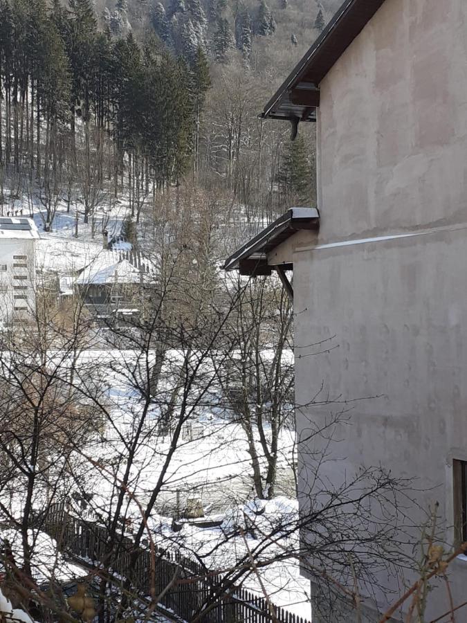 Casa Ryana Sinaia Hotel Екстериор снимка