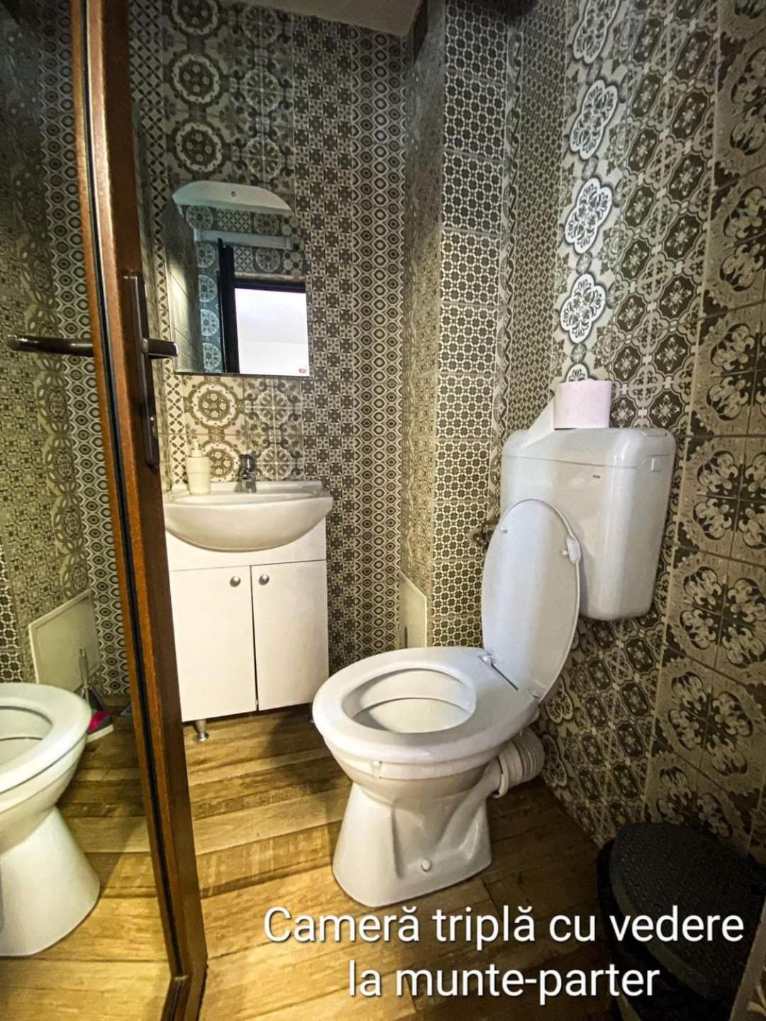 Casa Ryana Sinaia Hotel Екстериор снимка