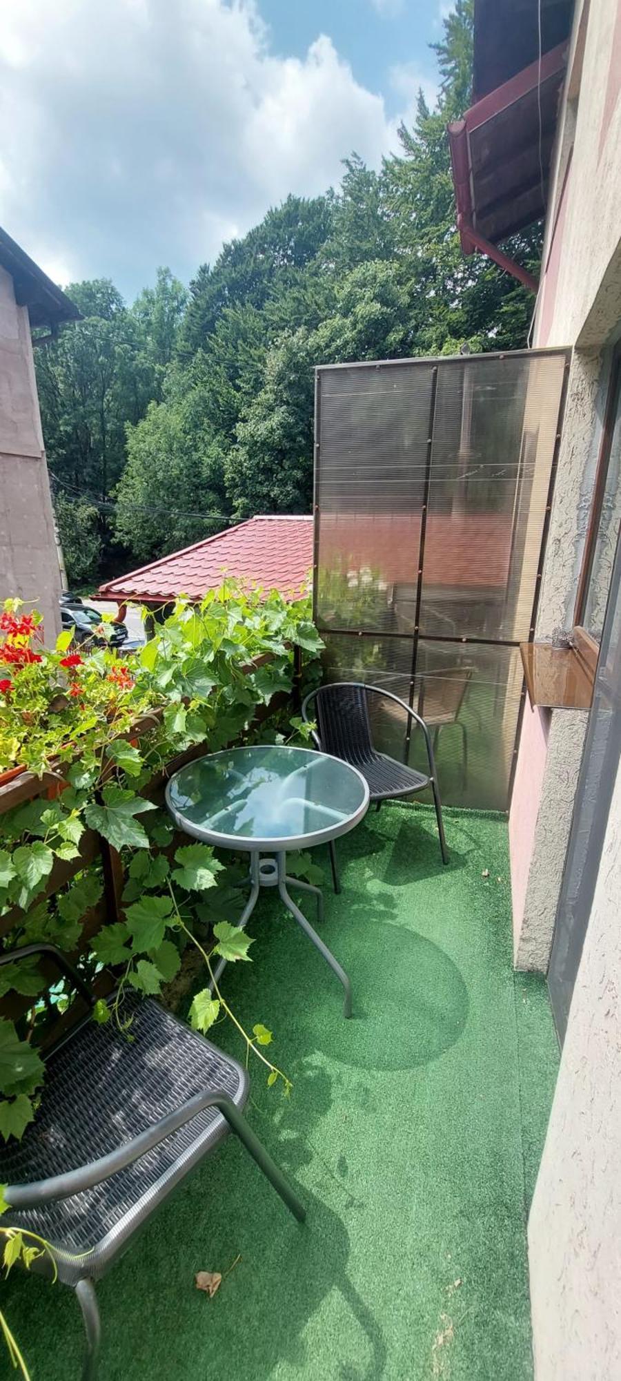 Casa Ryana Sinaia Hotel Екстериор снимка